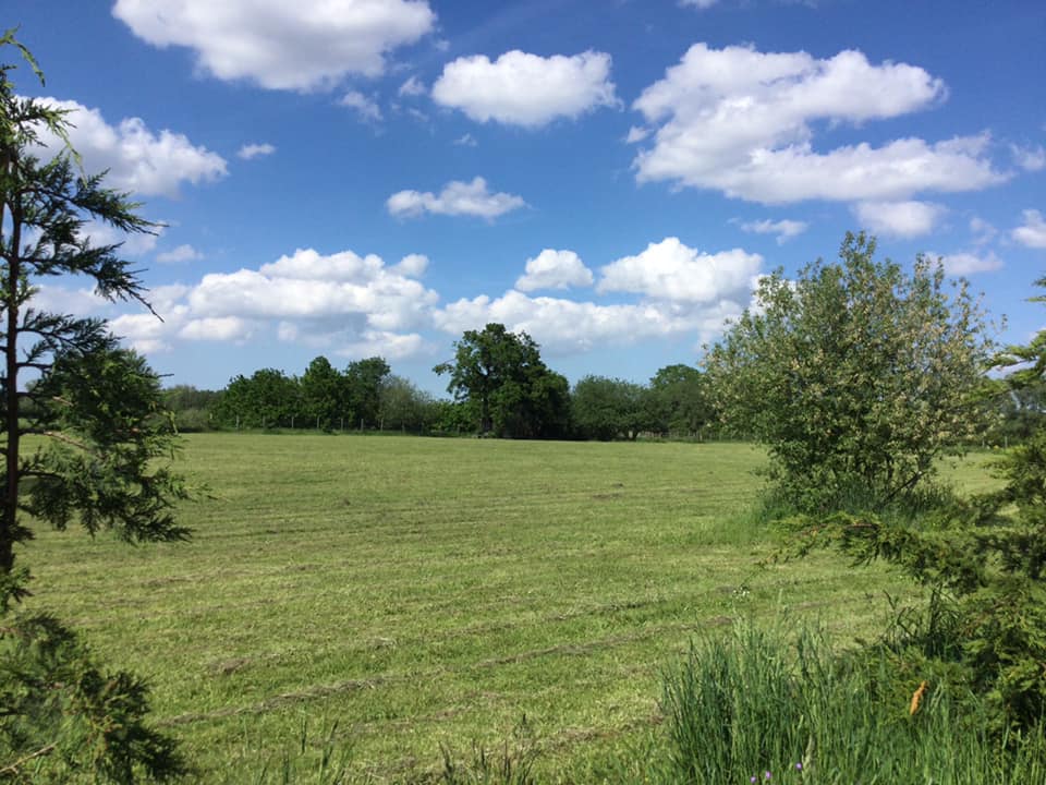 195759720_10159464956521719_422378562902422886_n