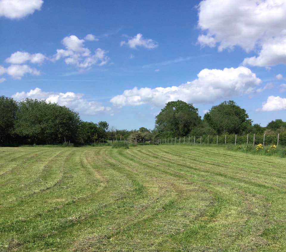 196306661_10159464956126719_2277449210593050783_n