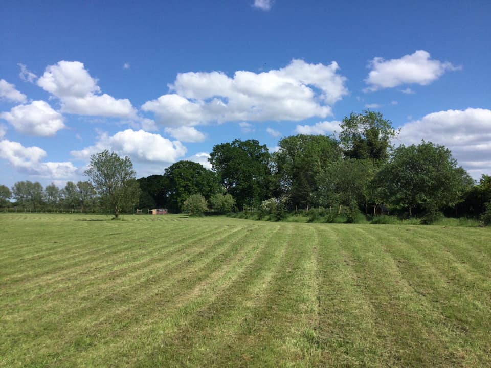 197349845_10159464956696719_6838615793905321623_n